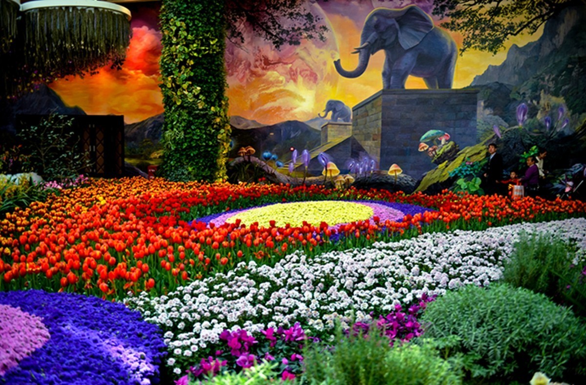 花境最新版，探索最新花卉世界的奧秘與魅力