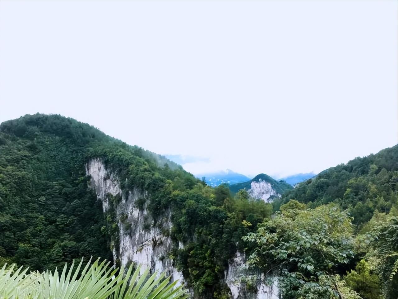 揭秘重慶仙女山最新魅力與風(fēng)光??