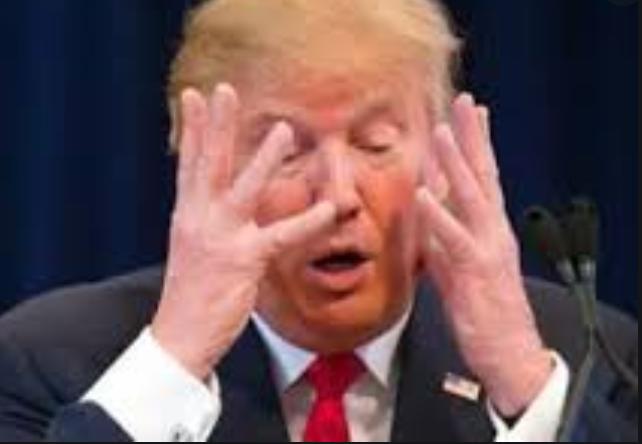 美國最新疫情動態(tài)播報，了解全球疫情發(fā)展??