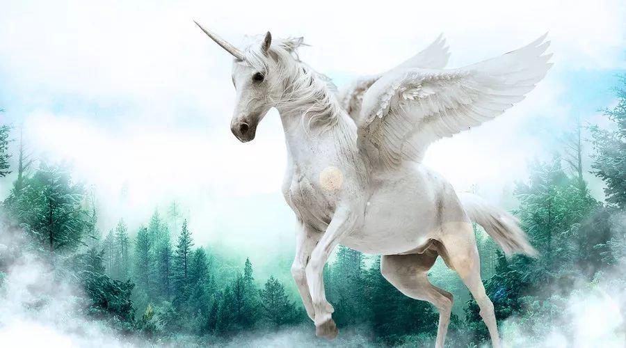 中國最新獨角獸，自信與成就感的源泉